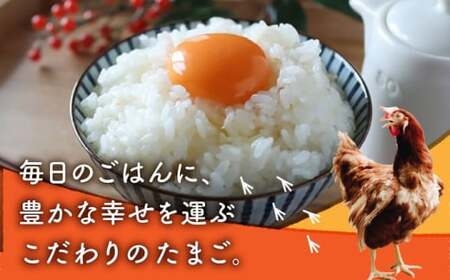 白たまご M玉 90個（85個＋5個割れ保証）【農事組合法人 鹿本養鶏組合】タマゴ 玉子 熊本県たまご 卵 国産たまご 新鮮たまご しろたまご M玉たまご 熊本たまご 濃厚たまご  [ZCA001]