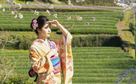 ヘアメイク着付け・アルバム込み！国指定重要文化財「八千代座」成人式前撮り【アンティーク着物レンタルの柏屋】[ZDB002]