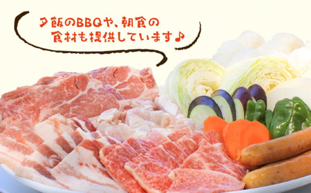 「癒しの森ゆ～かむ」テントデッキペア宿泊券1泊2食付き【癒しの森 ゆ～かむ】[ZCI001]