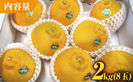 デコポン 約2kg 果物フルーツ柑橘熊本県産デコポンZCJ001