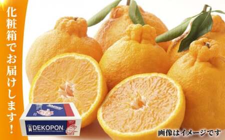デコポン 約2kg 果物フルーツ柑橘熊本県産デコポンZCJ001