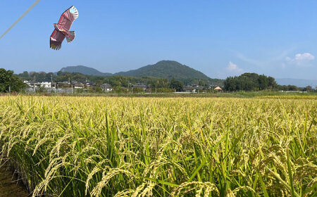 〈令和7年度産米〉 【先行予約】【天日塩を使用】一鹿米 旭一号 玄米 20kg【株式会社 夢アグリ】 令和7年産 [ZCL006]