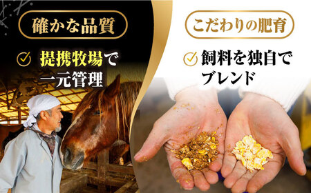 ご家族で楽しめる「さくらセット 」【株式会社  利他フーズ】 馬肉 馬刺し 霜降り 醤油付き馬刺し 馬刺し赤身 馬刺し霜降り 馬刺し 熊本 冷凍馬刺し  [ZBK004]