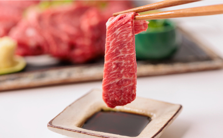 サシが決めてトロ～り馬刺しセット計約500g醤油付き馬刺し食べ比べZBK005