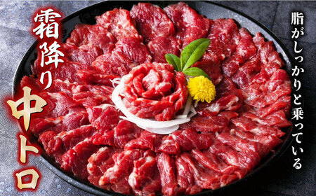 赤身&霜降り馬刺し 2種 計1kg 馬刺し専用醤油付き[ZBK008]