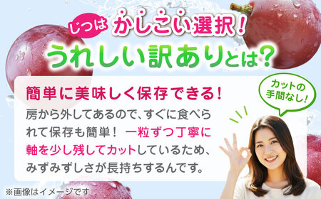 【2026年発送先行予約】訳あり クイーンニーナ ぶどう 切り落とし 約1kg  【合同会社 社方園】 赤ぶどう 1kg 家庭用 葡萄 訳ありクイーンニーナ  [ZBZ008]