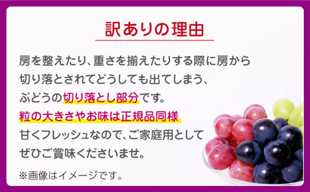 先行予約】訳あり ぶどう3種 食べ比べ 切り落とし 計約1kg 【合同会社