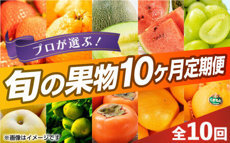 果物 先行予約10回定期便 プロが選ぶ旬の果物定期便 フルーツいちごメロンシャインZBG005