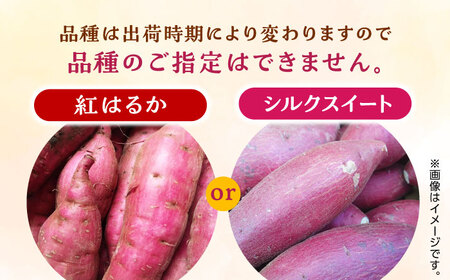 数量限定】さつまいも 紅はるか or シルクスイート 蜜芋 10kg【合同 ...