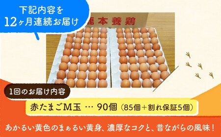 【全12回定期便】赤たまご M玉 90個（85個＋5個割れ保証）【農事組合法人 鹿本養鶏組合】タマゴ 玉子 熊本県 卵 国産 新鮮 あかたまご M玉  濃厚   [ZCA016]