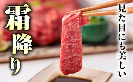 6回定期便サシが決めてトロ～り馬刺しセット計約500g醤油付き 利他フーズ馬刺しZBK017