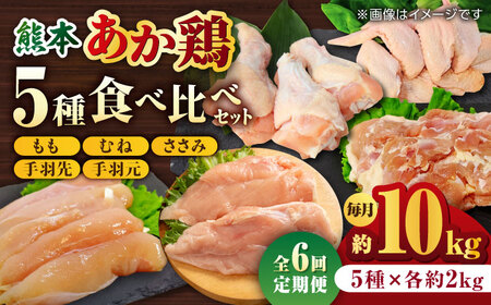 【6回定期便】熊本あか鶏  5種食べ比べセット（モモ ささみ ムネ 手羽先 手羽元）各2kg【やまうちフード株式会社 熊本営業所】 鶏肉 銘柄鶏  ささみ ササミ 鶏肉 赤鶏 熊本県  [ZAB013]