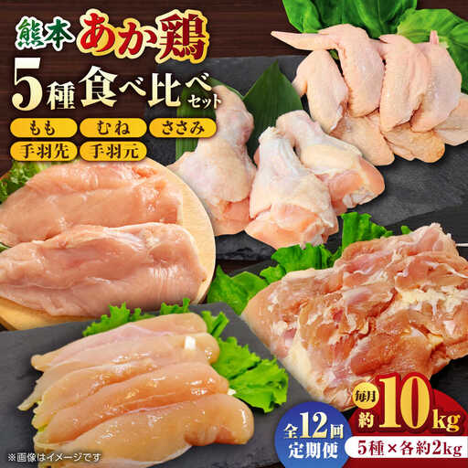 【12回定期便】熊本あか鶏  5種食べ比べセット（モモ ささみ ムネ 手羽先 手羽元）各2kg【やまうちフード株式会社 熊本営業所】 熊本県 特産品  九州産  [ZAB014]