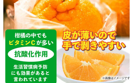 不知火 約5kg不知火はデコポンと同品種 [ZBG010]