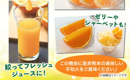 不知火 約5kg不知火はデコポンと同品種 [ZBG010]