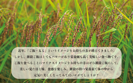 七城物語 有機赤米  玄米 合計900g(180g×5パック) 赤米