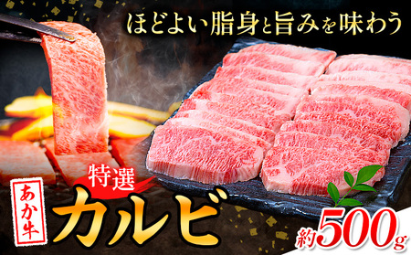 熊本あか牛 特選カルビ 500g 合同会社たべたせいか《30日以内に出荷予定(土日祝除く)》熊本県 菊池市 肉 牛肉 お肉 和牛 あか牛 焼き肉 焼肉 やきにく BBQ バーベキュー 特選 カルビ 熊本県産 冷凍 送料無料