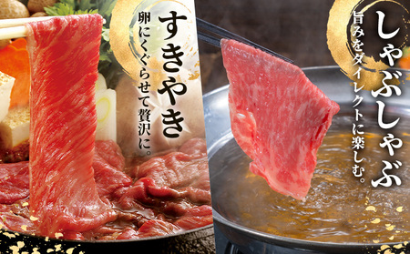 熊本あか牛 上ロース 約500g 合同会社たべたせいか《30日以内に出荷予定(土日祝除く)》熊本県 菊池市 肉 牛肉 お肉 和牛 あか牛 ロース スライス すき焼き しゃぶしゃぶ 熊本県産 冷凍 送料無料