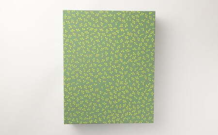 菊池銘菓 ふくさ栗 1箱（9個入り）《90日以内に出荷予定(土日祝除く)》