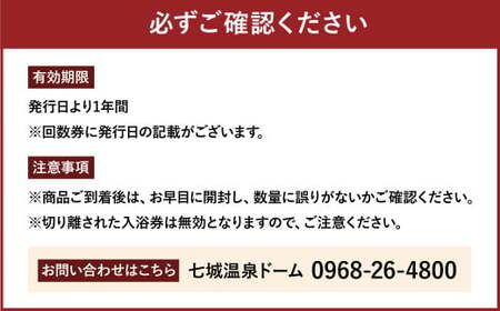 七城温泉ドーム 入浴券 12枚綴り チケット 温泉 サウナ 11種類 総合施設