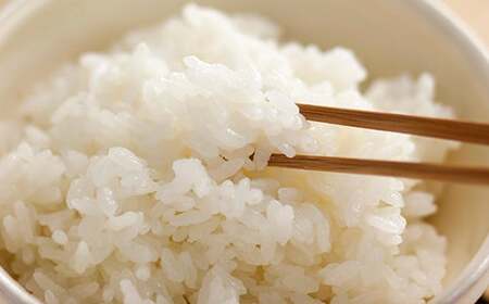 元気野菜＆厳選米 セット（ 野菜 6品・ 精米 2kg ） 詰め合わせ 詰合せ 米 お米 やさい【メロンドーム】 