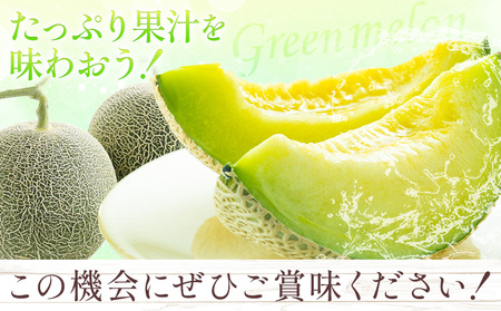 【先行予約】肥後グリーンメロン 2玉 2L以上 通常箱【メロンドーム】 有限会社七城町特産品センター《2026年5月中旬-6月中旬頃出荷》熊本県 菊池市 メロン グリーンメロン 果物 フルーツ 熊本県産 送料無料