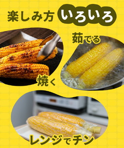 スイートコーンセット 8-10本【養生市場】 コーン とうもろこし 品種おまかせ ランダム 野菜 九州産 熊本県産 送料無料《5月上旬-6月末頃出荷》