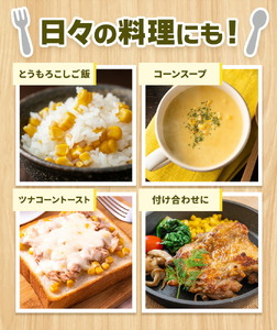 スイートコーンセット 8-10本【養生市場】 コーン とうもろこし 品種おまかせ ランダム 野菜 九州産 熊本県産 送料無料《5月上旬-6月末頃出荷》