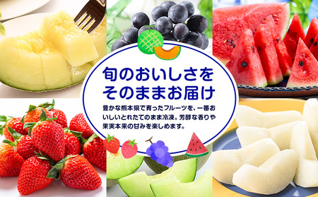 フローズンフルーツ 約80g～150g入り×8袋 種類おまかせ ランダム 有限会社七城町特産品センター《90日以内に出荷予定(土日祝除く)》熊本県 菊池市 冷凍フルーツ 果物 フルーツ 国産 冷凍 フローズン