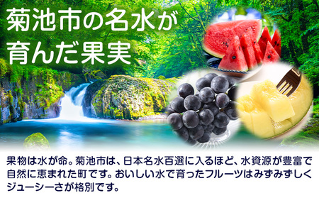 フローズンフルーツ 約80g～150g入り×8袋 種類おまかせ ランダム 有限会社七城町特産品センター《90日以内に出荷予定(土日祝除く)》熊本県 菊池市 冷凍フルーツ 果物 フルーツ 国産 冷凍 フローズン
