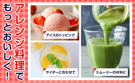 フローズンフルーツ 約80g～150g入り×8袋 種類おまかせ ランダム 有限会社七城町特産品センター《90日以内に出荷予定(土日祝除く)》熊本県 菊池市 冷凍フルーツ 果物 フルーツ 国産 冷凍 フローズン