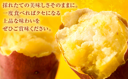 フローズン焼き芋 約200g×8袋セット 合計約1.6kg 有限会社七城町特産品センター《90日以内に出荷予定(土日祝除く)》熊本県 菊池市 冷凍焼きいも 焼き芋 からいも さつまいも冷凍