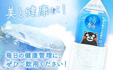 シリカ天然水 2L×10本 株式会社Foody's《30日以内に出荷予定(土日祝除く)》熊本県 菊池市 シリカ水 飲料水 ミネラルウォーター 水 軟水 鉱水 ペットボトル