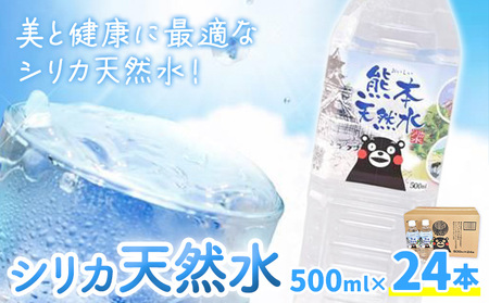 シリカ天然水 500ml×24本 株式会社Foody's《30日以内に出荷予定(土日祝除く)》熊本県 菊池市 シリカ水 飲料水 ミネラルウォーター 水 軟水 鉱水 ペットボトル