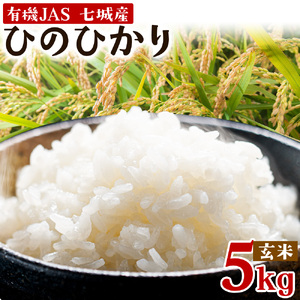 【玄米】【令和7年産】有機JAS 七城産 ひのひかり 5kg《30日以内に出荷予定(土日祝除く)》