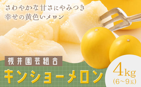 キンショーメロン 4kg(6～9玉) メロン《2026年4月上旬-7月上旬頃出荷》熊本県 菊池市 果物 フルーツ 金鐘 ノーネットメロン 黄色いメロン 菊池市産 熊本県産 九州産 送料無料