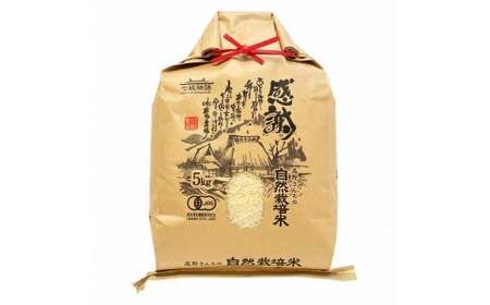 【通常パック】熊本県菊池産 ヒノヒカリ 白米 5kg 七城物語 高野さんちの自然栽培米 精米