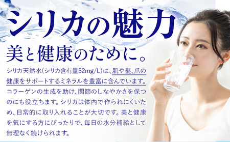 シリカ天然水 500ml×42本 株式会社Foody's《30日以内に出荷予定(土日祝除く)》熊本県 菊池市 シリカ水 飲料水 ミネラルウォーター 水 軟水 鉱水 ペットボトル