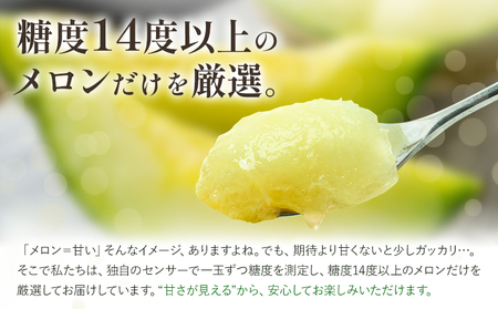 【先行予約】メロン 肥後グリーンメロン 大 2L ～ 3L サイズ 2玉 約1.6～2kg×2 MOTOYAMA358FARM 《2026年4月中旬-6月中旬頃出荷》 熊本県 菊池市 メロン 果物 フルーツ 九州産 国産 送料無料