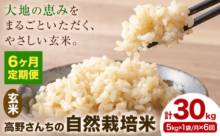 【6ヶ月定期便】令和7年産 高野さんちの自然栽培米 玄米 計30kg(5kg×1袋/月×6回) 《通常パッケージ》株式会社有機農場《お申し込み月の翌月から出荷開始》熊本県 菊池市 米 お米 ヒノヒカリ ひのひかり 自然栽培米 七城物語 熊本県産 24,850円