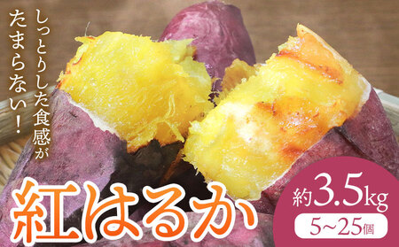 さつまいも 紅はるか 約3.5kg(5-25個) 株式会社GGYパッケージ《2025年11月下旬-2026年4月上旬頃出荷》熊本県 菊池市 さつまいも 紅はるか 芋 いも 野菜 国産 焼き芋 スイートポテト 芋ようかん 大学芋 干し芋 しっとり 旬 送料無料