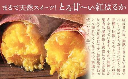 さつまいも 紅はるか 約3.5kg(5-25個) 株式会社GGYパッケージ《2025年11月下旬-2026年4月上旬頃出荷》熊本県 菊池市 さつまいも 紅はるか 芋 いも 野菜 国産 焼き芋 スイートポテト 芋ようかん 大学芋 干し芋 しっとり 旬 送料無料