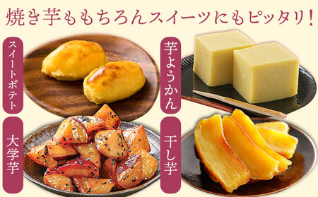 さつまいも 紅はるか 約3.5kg(5-25個) 株式会社GGYパッケージ《2025年11月下旬-2026年4月上旬頃出荷》熊本県 菊池市 さつまいも 紅はるか 芋 いも 野菜 国産 焼き芋 スイートポテト 芋ようかん 大学芋 干し芋 しっとり 旬 送料無料