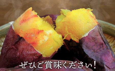 さつまいも 紅はるか 約5kg(9-38個) 株式会社GGYパッケージ《2025年11月下旬-2026年4月上旬頃出荷》熊本県 菊池市 さつまいも 紅はるか 芋 いも 野菜 国産 焼き芋 スイートポテト 芋ようかん 大学芋 干し芋 しっとり 旬 送料無料