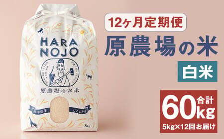 【12ヶ月定期便】原農場の米（白米） 5kg 計60kg お米 米 こめ コメ 白米 ヒノヒカリ ひのひかり ごはん ご飯 熊本県産 国産