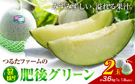 つるたファームの 朝採り 肥後グリーン メロン 1.8kg以上 2玉 株式会社七城の恵み《5月上旬頃から出荷開始》熊本県 菊池市 メロン つるたファーム
