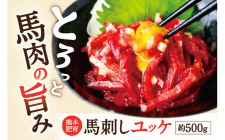 熊本 馬肉ユッケ 10人前 500g（50g×10パック）専用タレ付き 馬刺し 馬肉 肉 お肉