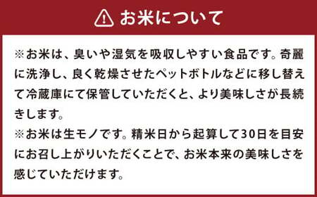 【令和6年産】 七城のお米 ぴかまる 5kg 米 白米 精米 こめ コメ お米 ごはん ご飯 熊本県産