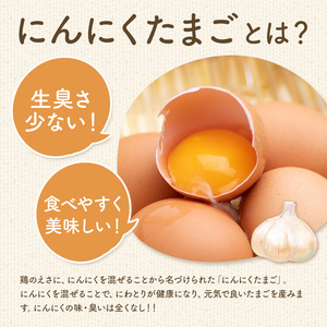 卵 にんにくたまご 内容量 30個 株式会社つづき《90日以内に出荷予定(土日祝除く)》熊本県 菊池市 卵 たまご にんにく卵 鶏卵 熊本県産 九州産 冷蔵 送料無料