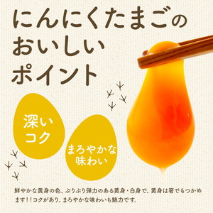 卵 にんにくたまご 内容量 30個 株式会社つづき《90日以内に出荷予定(土日祝除く)》熊本県 菊池市 卵 たまご にんにく卵 鶏卵 熊本県産 九州産 冷蔵 送料無料